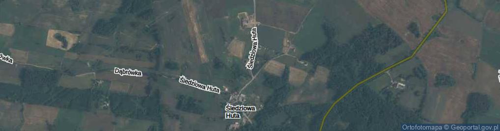 Zdjęcie satelitarne Śledziowa Huta ul.